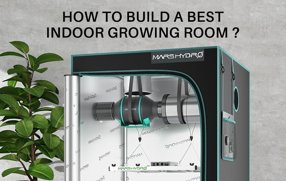 How to Build a Best Indoor Growing Room- Beginner’s Guide