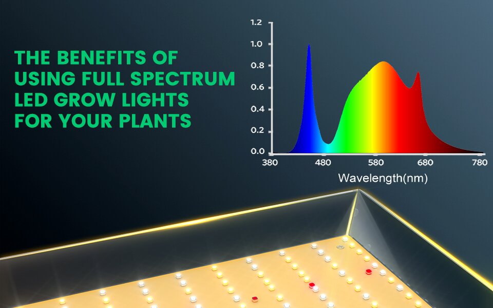 The Top 6 Benefits of Using Full Spectrum LED Grow Lights for Your Plants