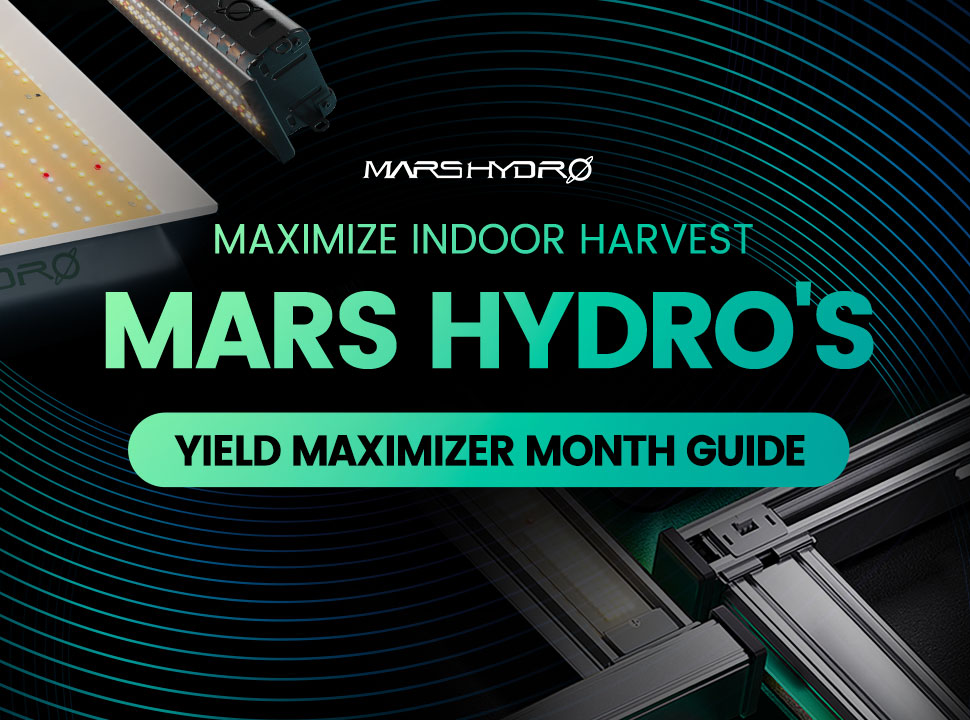 Maximize Indoor Harvest: Mars Hydro's Yield Maximizer Month Guide