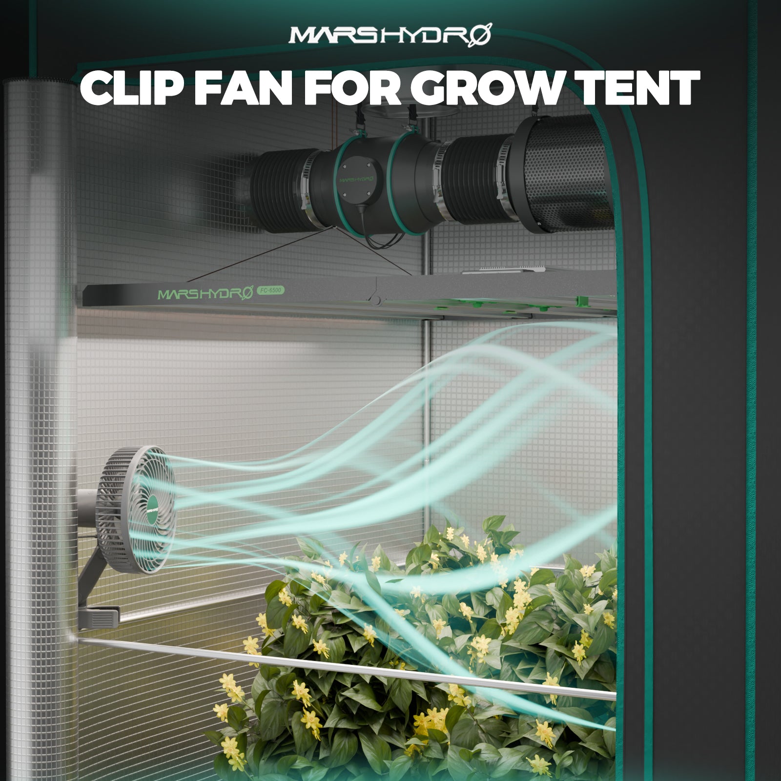 Mars Hydro TS 1000 Complete grow tent kits Led Grow Light + 80x80x160cm Indoor Tent Carbon Filter Fan