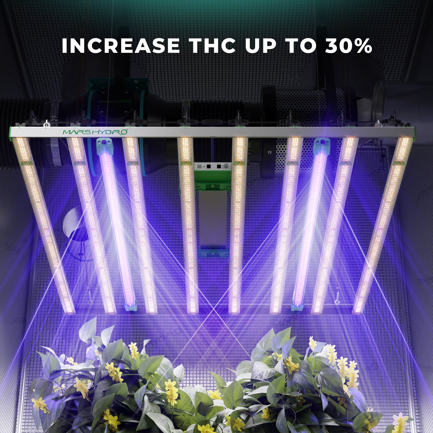 Mars Hydro ADlite UV55 LED Grow Light For UV Supplement Lighting