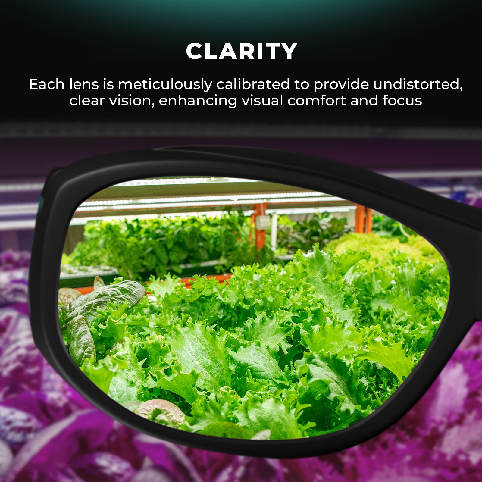 MARS HYDRO Grow Room Glasses