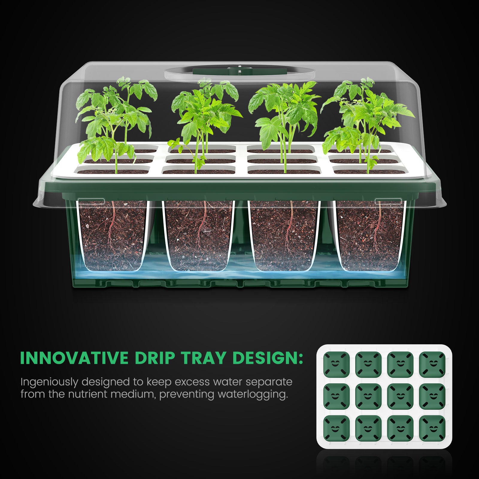 (2 Pack) Mars Hydro Seed Starting Trays for Seed Starting Propagation Cloning Plants