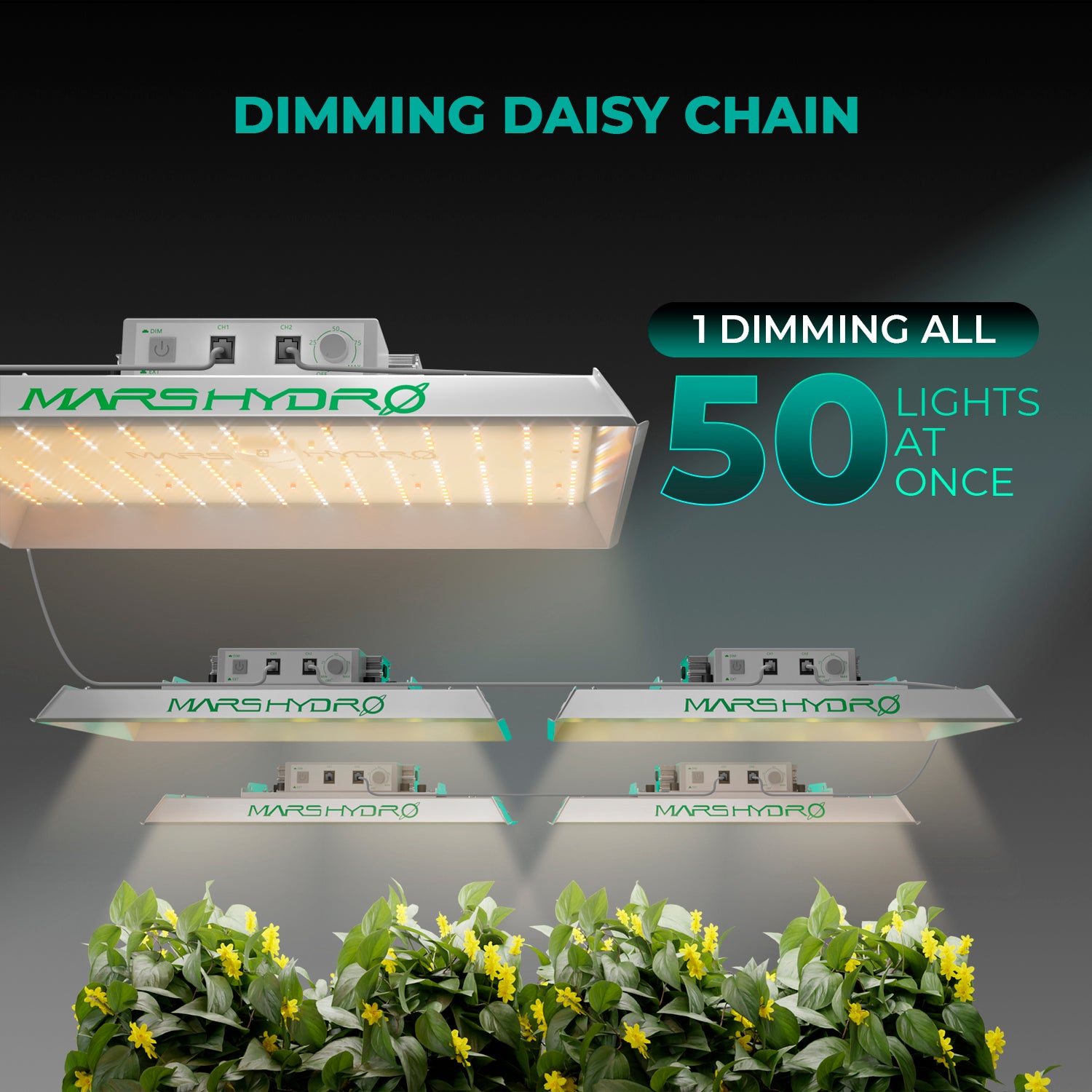 Mars Hydro TS 1000 Complete grow tent kits Led Grow Light + 80x80x160cm Indoor Tent Carbon Filter Fan