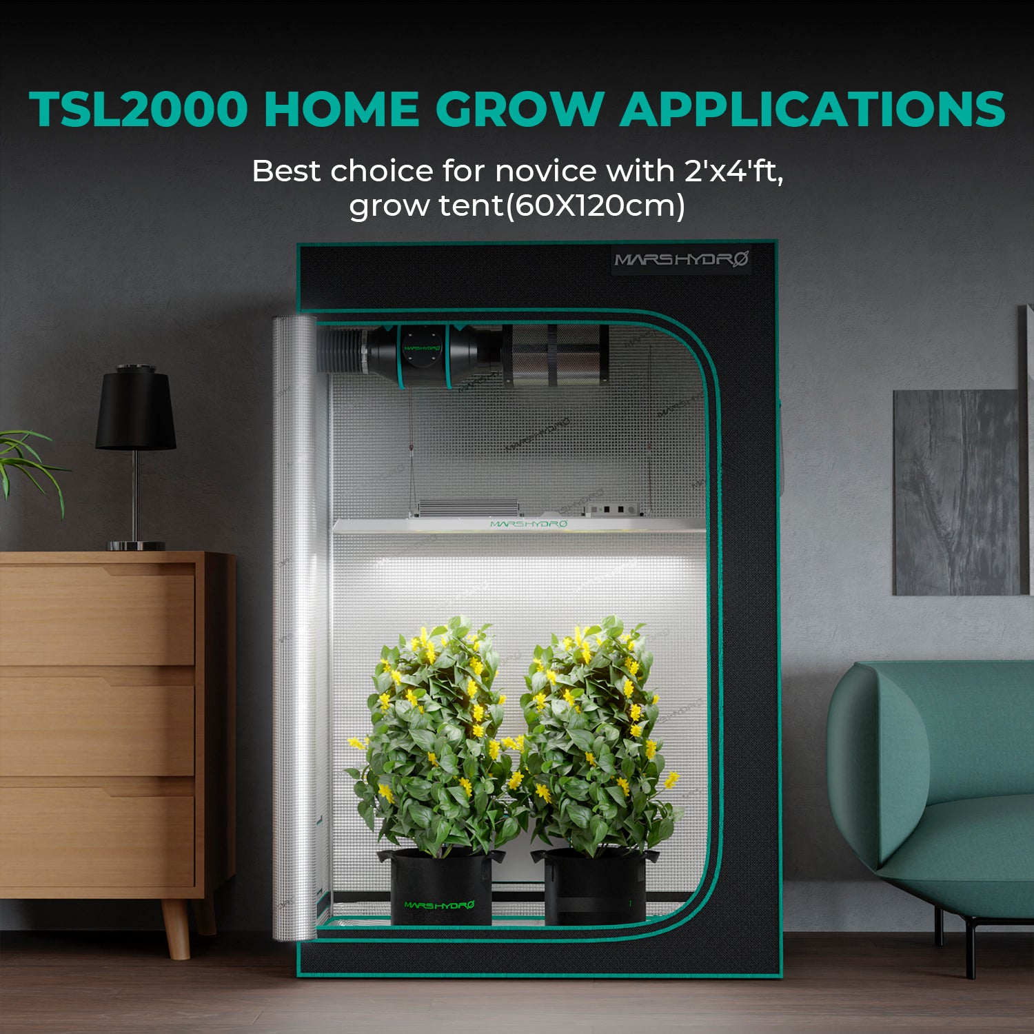 Mars Hydro TSL 2000 300W LED élèvent des lumières lampe de croissance de plantes à fleurs végétales culture hydroponique