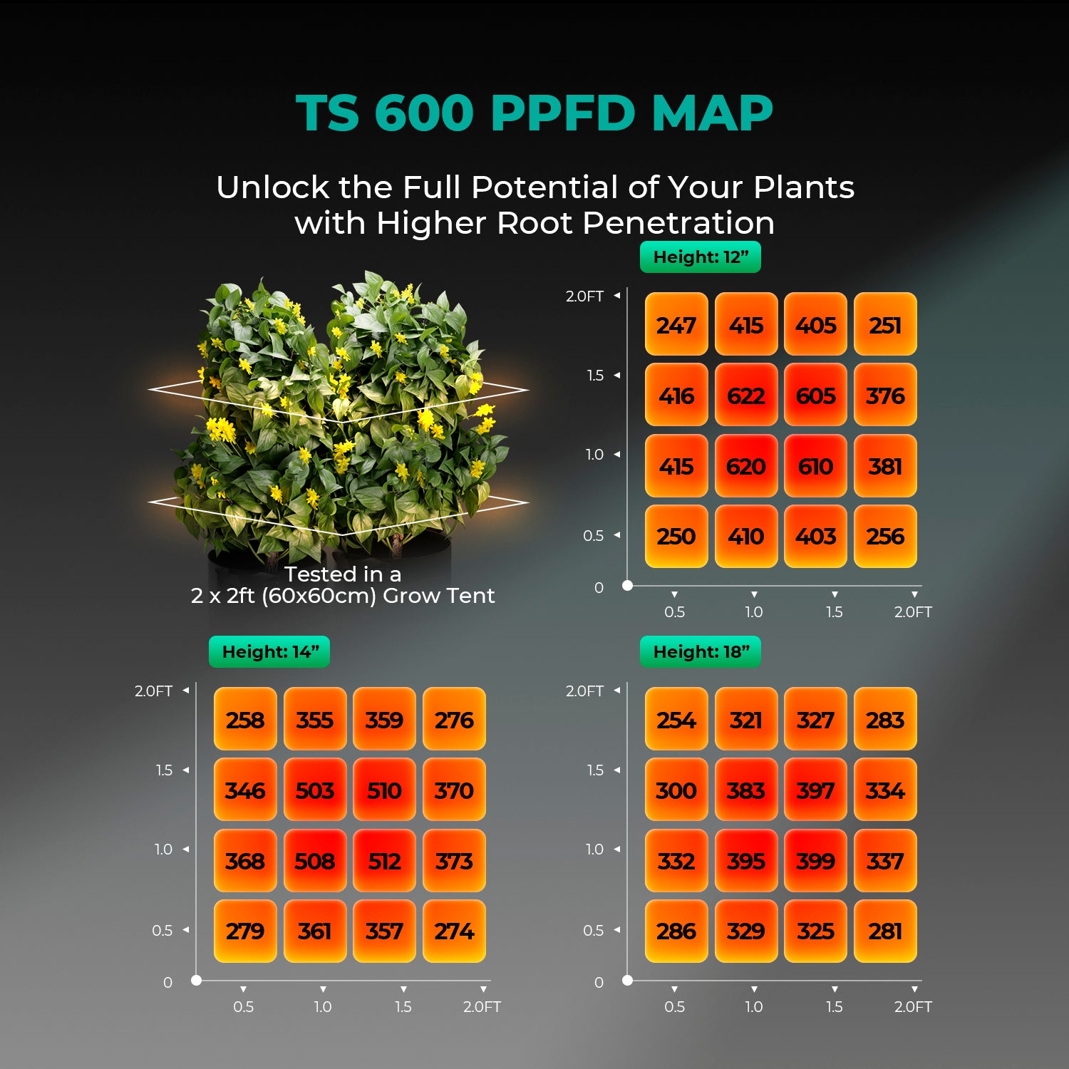 TS 600 LED élèvent la lampe d'intérieur hydroponique à spectre complet de lumière pour les plantes de toutes les étapes de fleurs végétales