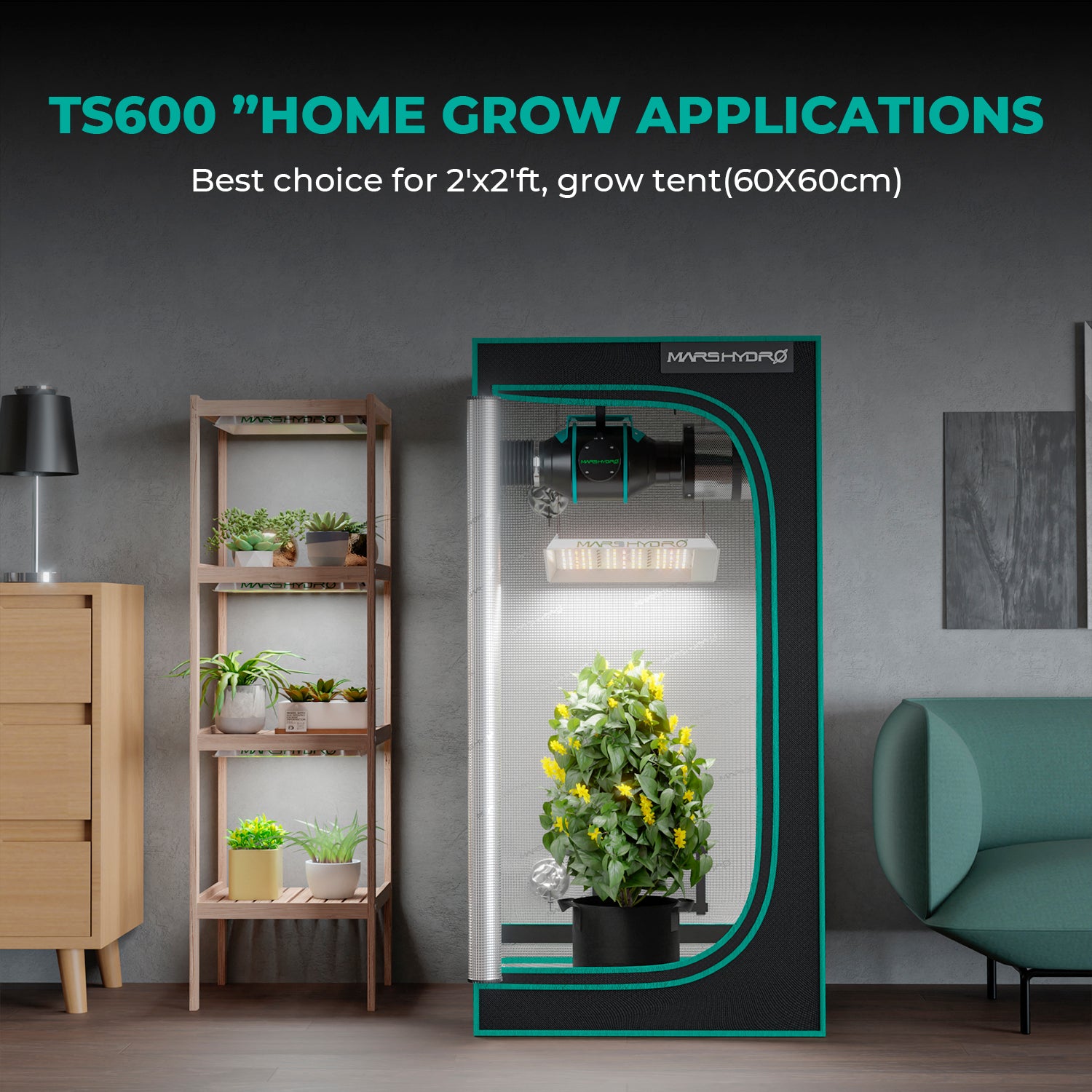 TS 600 LED élèvent la lampe d'intérieur hydroponique à spectre complet de lumière pour les plantes de toutes les étapes de fleurs végétales