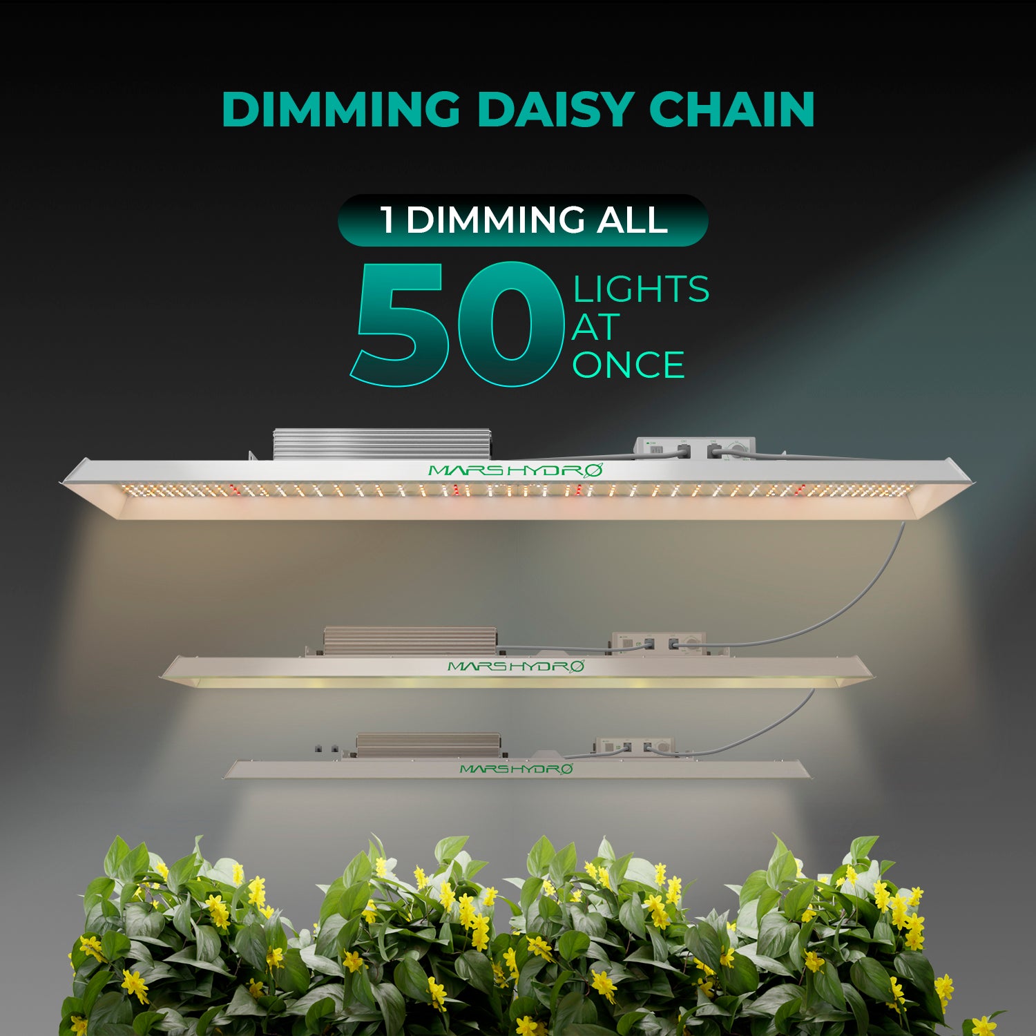 Mars Hydro TSL 2000 300W LED élèvent des lumières lampe de croissance de plantes à fleurs végétales culture hydroponique