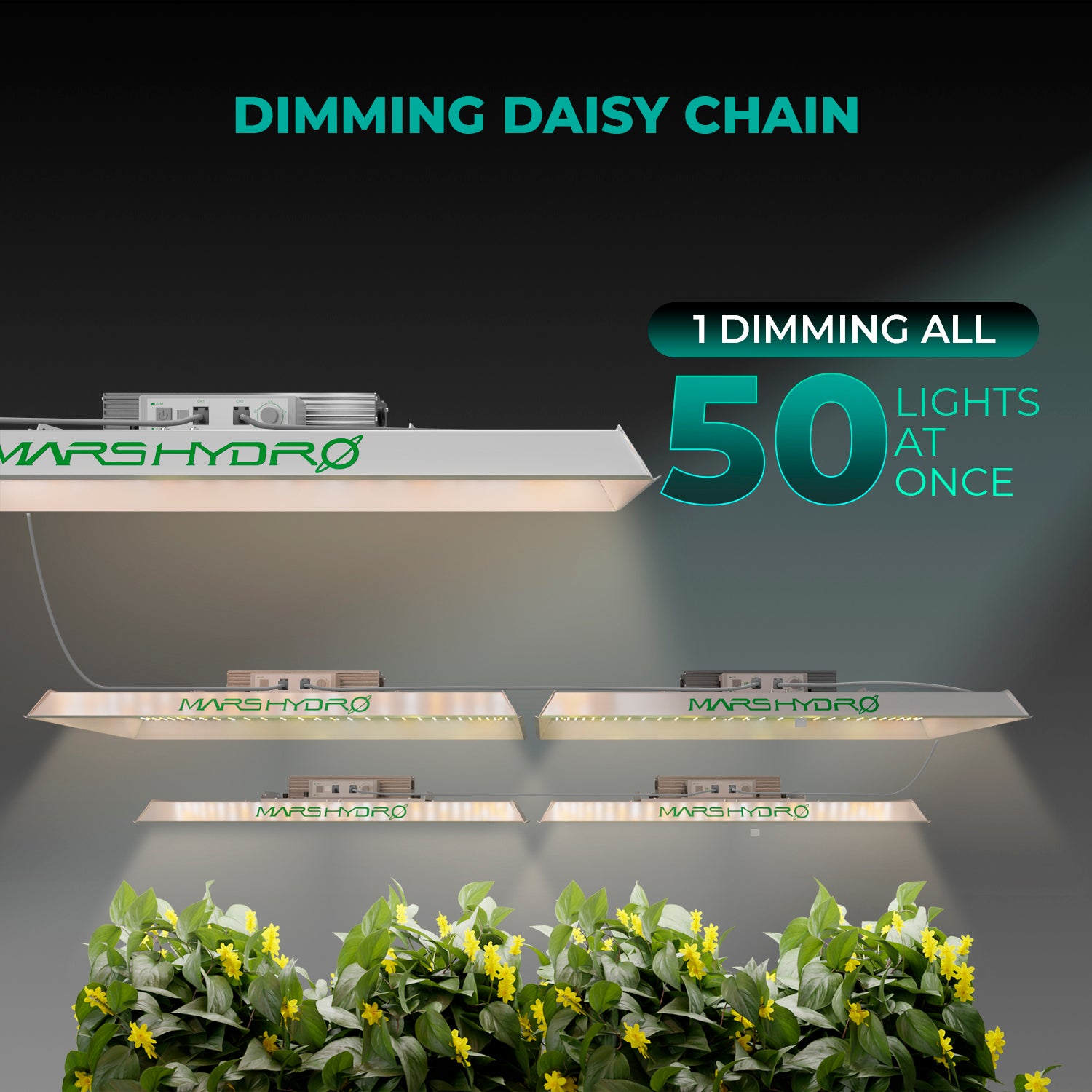Mars Hydro TSW 2000 300W LED à spectre complet élèvent la lumière pour la culture hydroponique intérieure tente boîte Veg Bloom