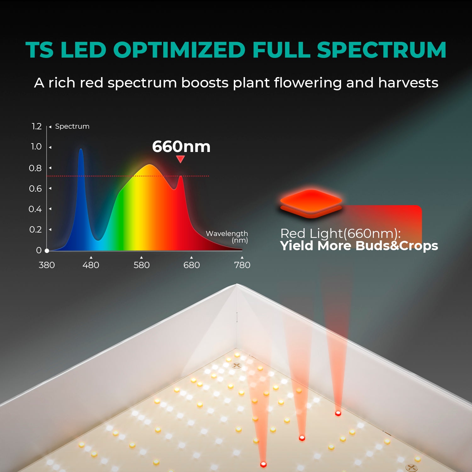 Mars Hydro TS 1000 spectre complet 150W LED lampe de croissance solaire à intensité variable pour la culture hydroponique intérieure de légumes et de fleurs