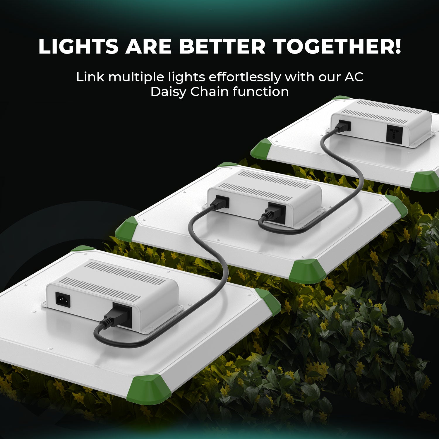 Mars Hydro RP 2000 LED Grow Light Full Spectrum for Indoor Plants Grow Tent kits