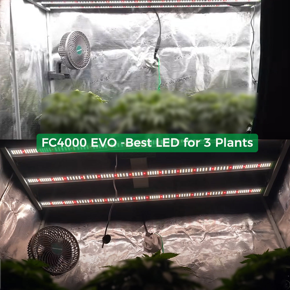 Mars Hydro FC 4000-EVO Samsung LM301H EVO 320W Medical Herb LED Grow Lights