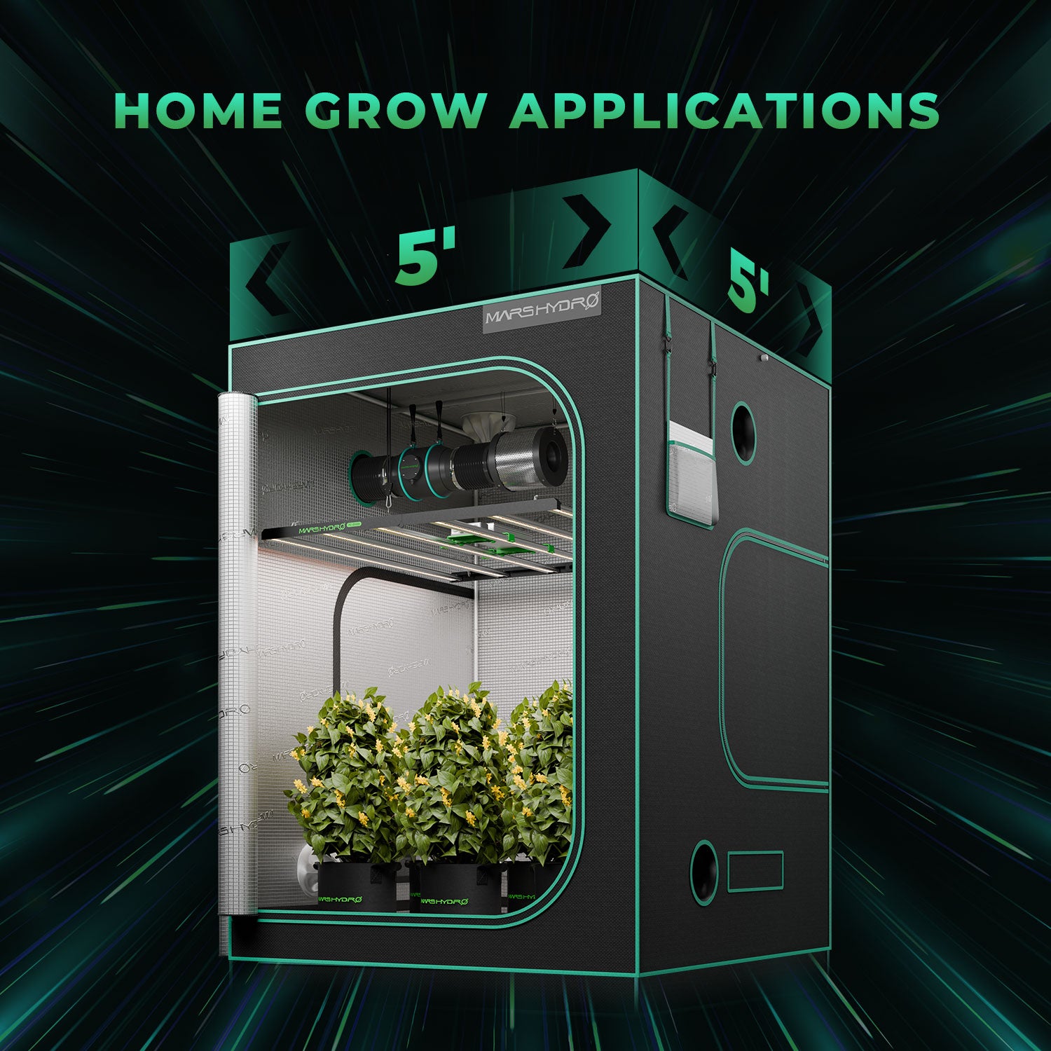mars hydro FC-E6500 LED grow lights-with 5x5ft 150x150cm grow tent