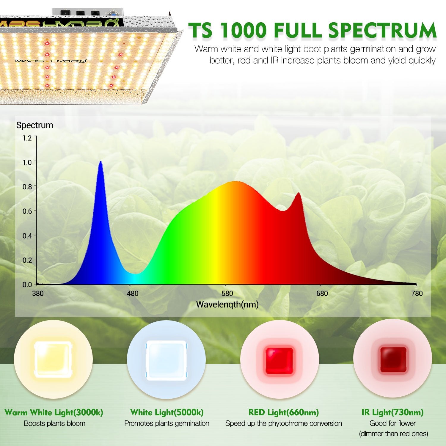 TS 1000 Full Spectrum LED Grow Lights + 2.3'x2.3'x5.2'(70×70×160cm) Grow Tent Indoor Home Veg Flower