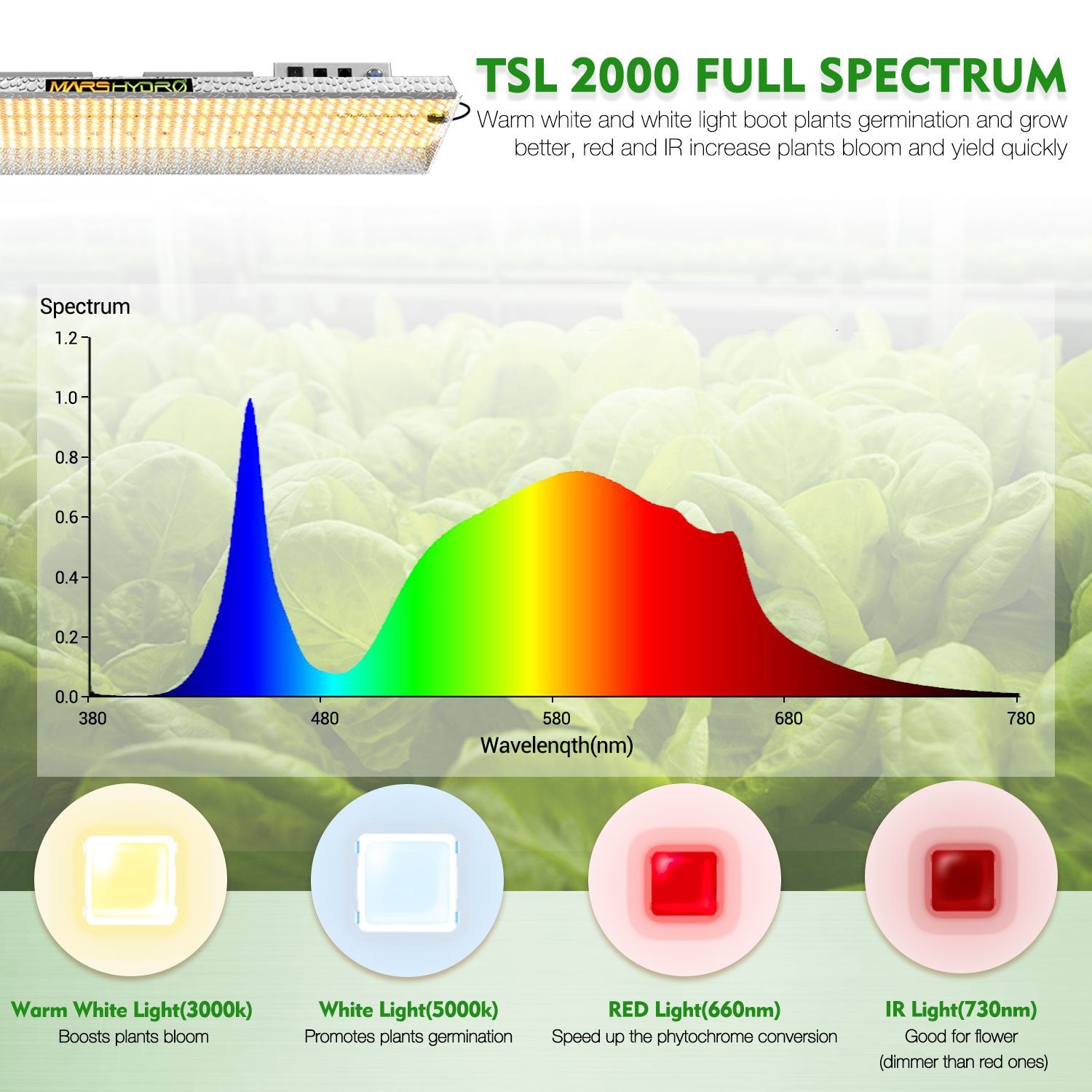 TSL 2000 LED Grow Lights + 4'x2'x6'(120x60x180cm) Grow Tent Hydroponics Indoor Room Veg Flower