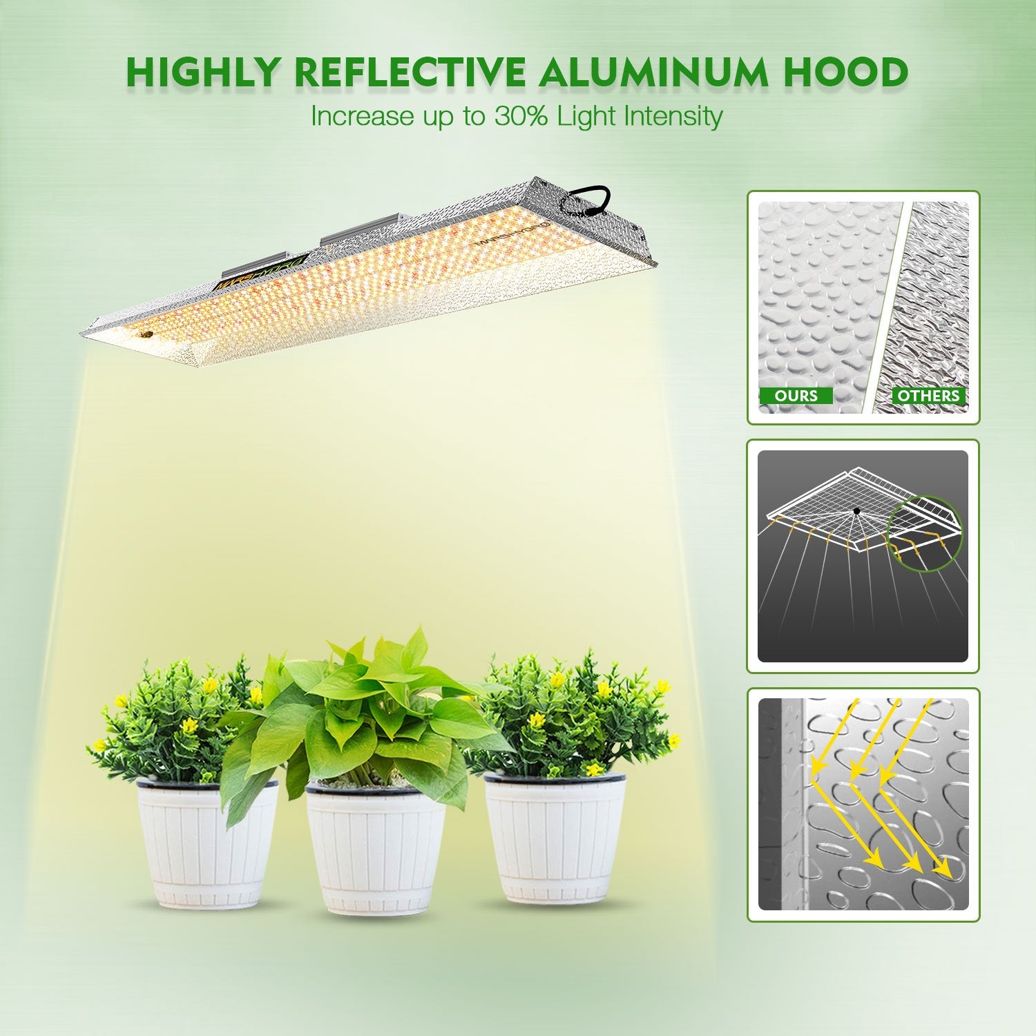 TSL 2000 LED Grow Lights + 4'x2'x6'(120x60x180cm) Grow Tent Hydroponics Indoor Room Veg Flower