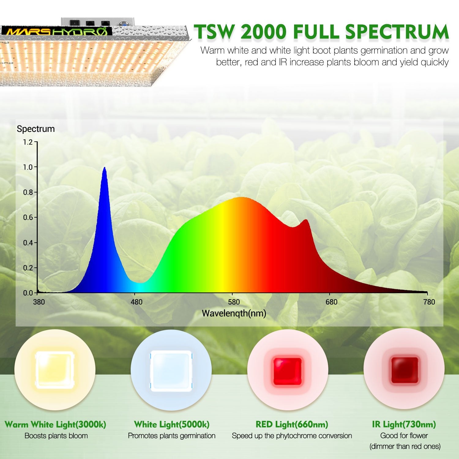 TSW 2000 LED Grow Lights + 3'x3'x6' (100x100x180cm) Grow Tent Hydroponics Veg Flower