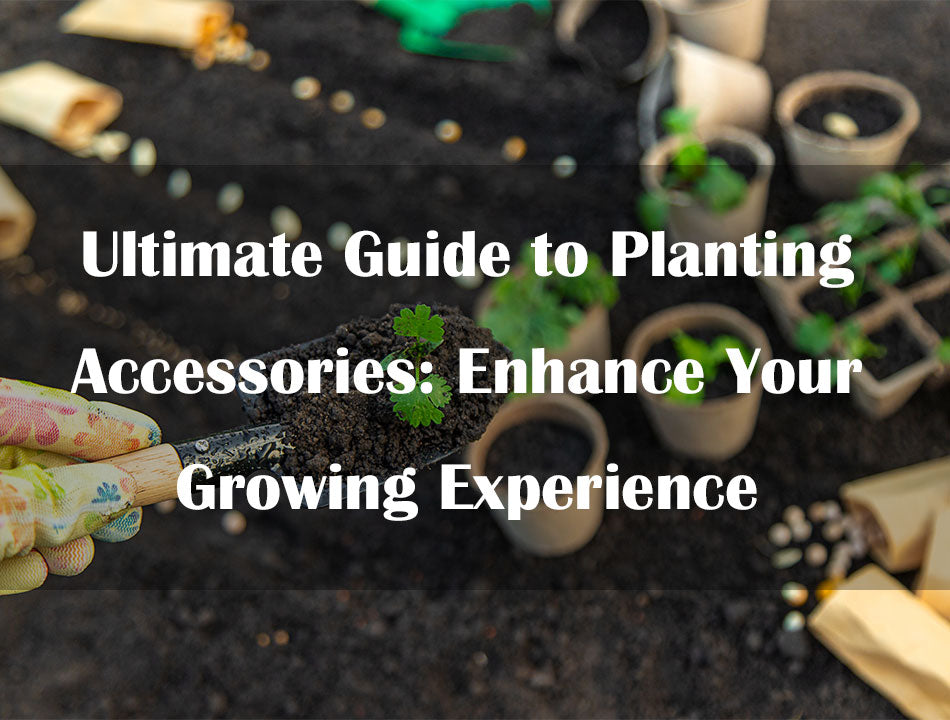 Ultimate Guide to Planting Accessories: Enhance Your Growing Experience