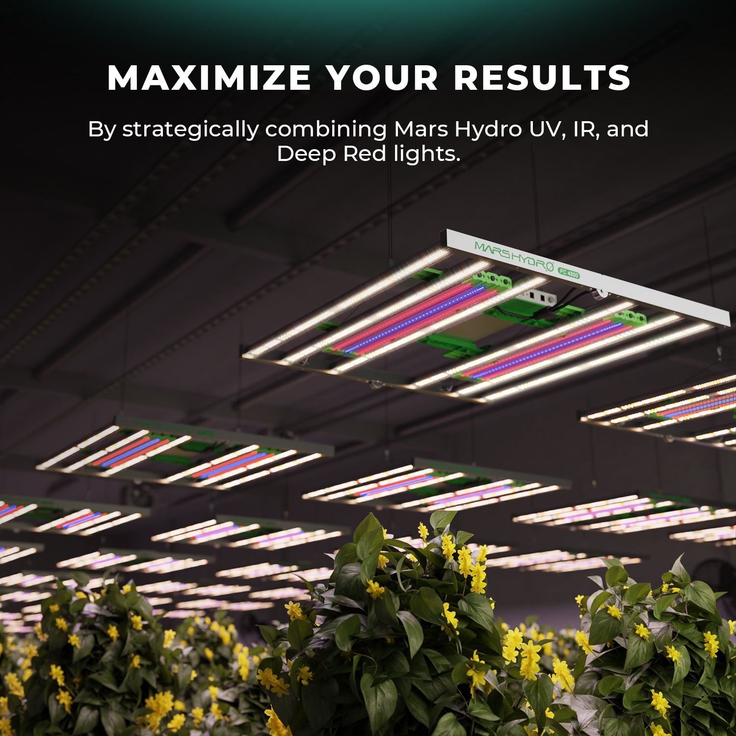 Mars Hydro ADlite UV30 LED Grow Light For UV Supplement Lighting