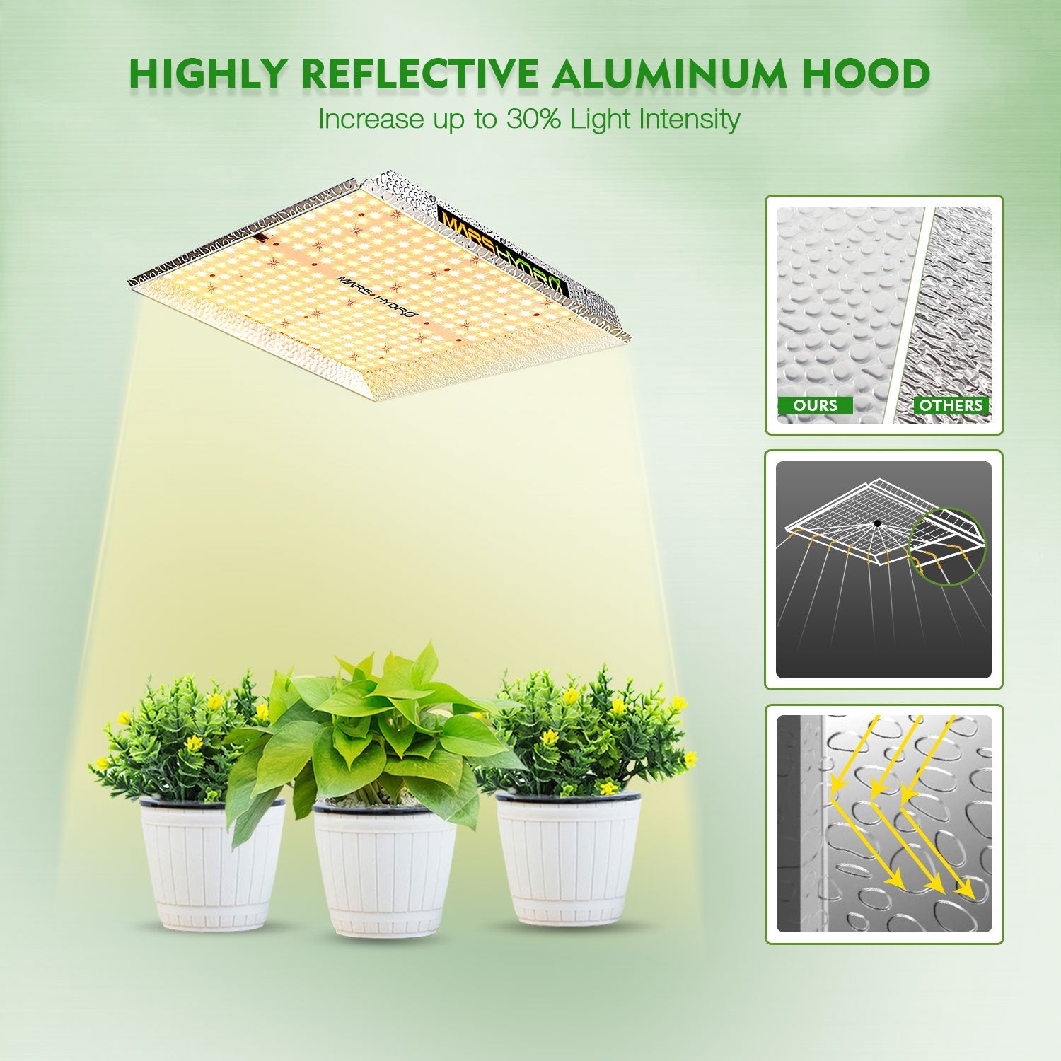 TS 1000 Full Spectrum LED Grow Lights + 2.3'x2.3'x5.2'(70×70×160cm) Grow Tent Indoor Home Veg Flower