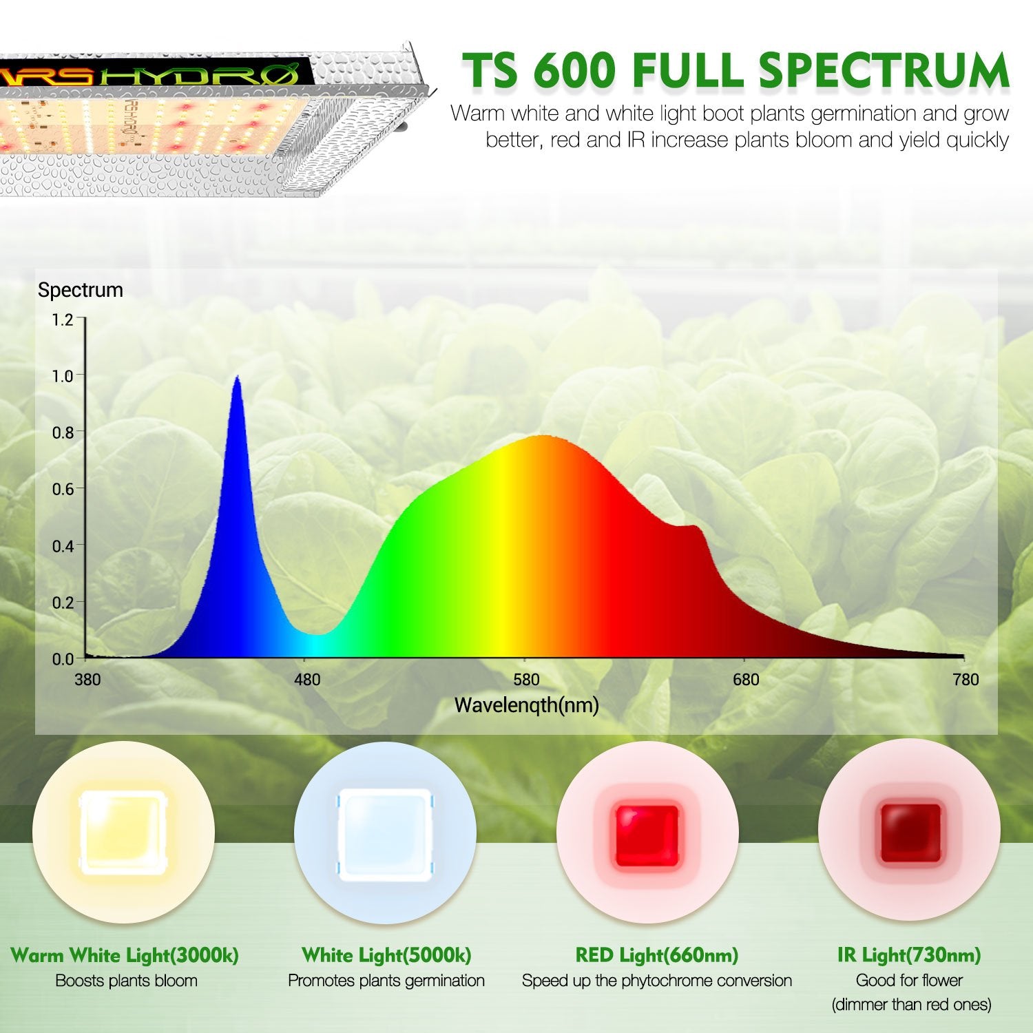 TS 600 LED à spectre complet élèvent des lumières + 2'x2'x4.5'(60x60x140cm) poussent une tente de culture d'intérieur pour légumes et fleurs
